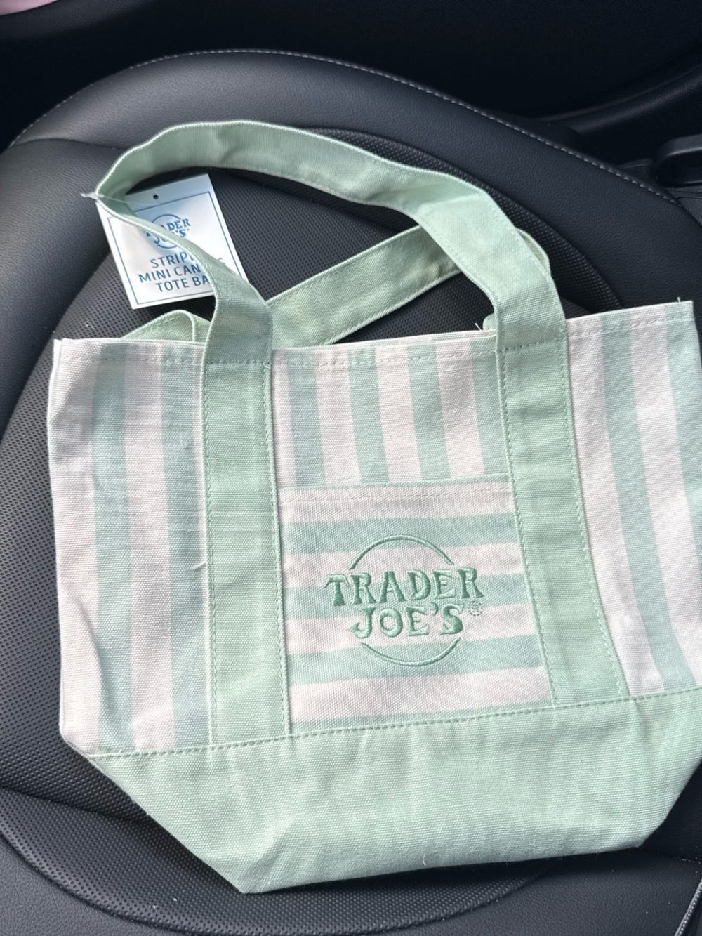 Trader Joe's Mint & Cream Stripe Mini Canvas Tote